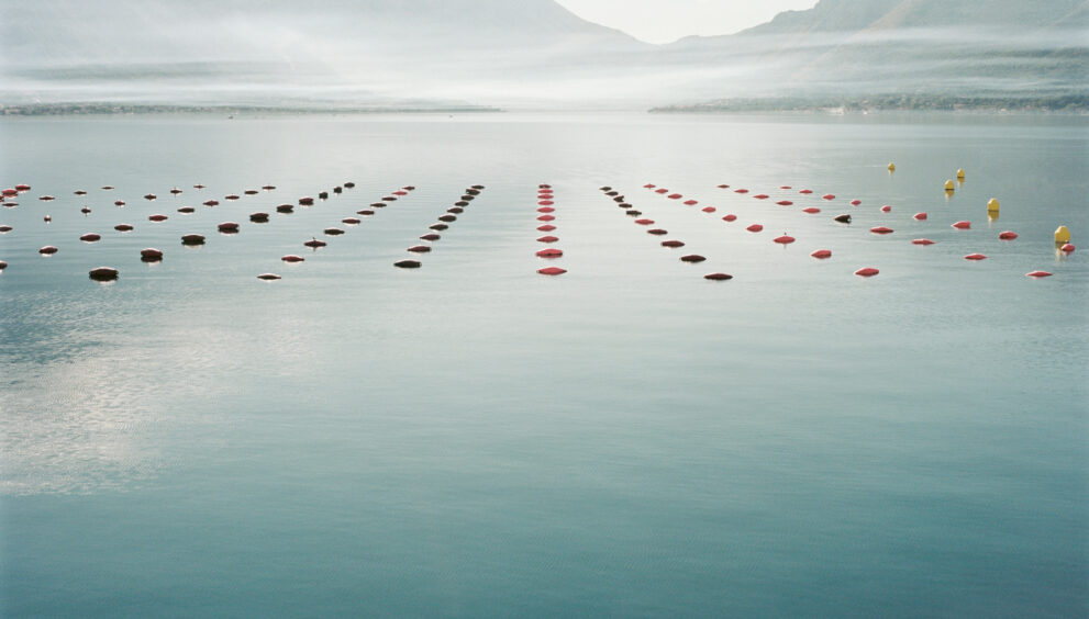 Water polo player's hopes for Olympic glory